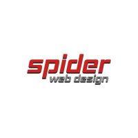 spider web design logo image