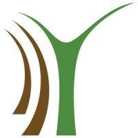 banyan capital partners® logo image