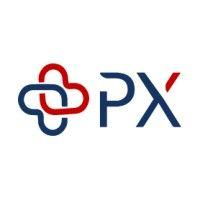 +px logo image