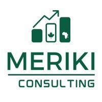 meriki consulting limited logo image