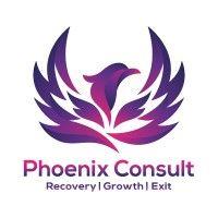 phoenix consult limited logo image