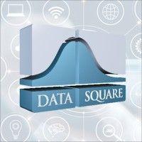 data square logo image