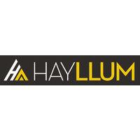 hayllum logo image