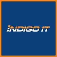 indigo it llc logo image