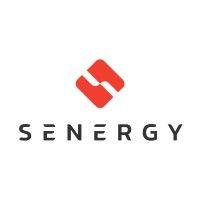 senergy - skwentex energy corp logo image