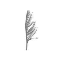 feather creative logo image