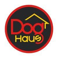 dog haus logo image