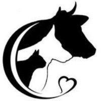 watertown animal hospital logo image