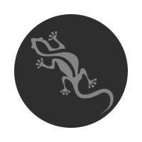 gecko cricket sports ltd logo image