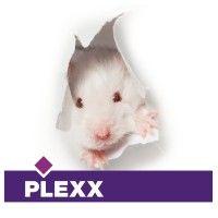 plexx b.v. logo image