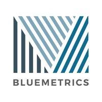 bluemetrics logo image