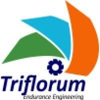 triflorum institute of advance engineering private limited logo image