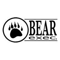 bear executive services logo image