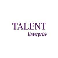 talent-enterprise logo image