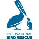 logo of International Bird Rescue