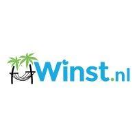 winst.nl bv logo image