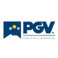 pgv servicios s.p.a. logo image