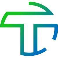 telengy management & advies logo image