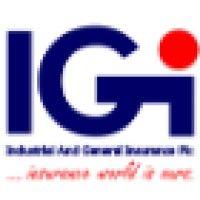 industrial and general insurance plc (igi) logo image