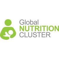 global nutrition cluster logo image