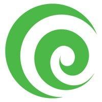 koru medical systems logo image