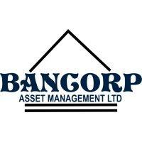 bancorp asset management ltd (baml) logo image