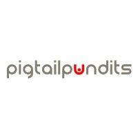 pigtail pundits helps businesses get wow results online. logo image