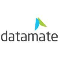 datamate info solutions limited logo image