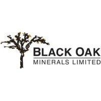 black oak minerals ltd logo image