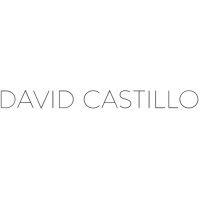 david castillo logo image