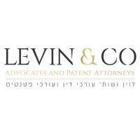 levin - advocates & patent attorneys logo image