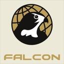 logo of Falcon International