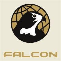 falcon international logo image