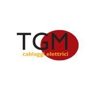 tgm srl logo image