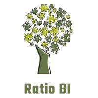 ratio business insight