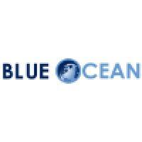 blue ocean capital partners, llc logo image