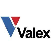 valex logo image