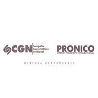 pronico logo image