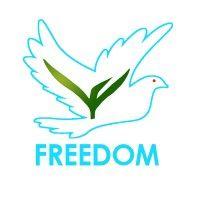 freedom solar logo image