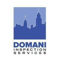 domani inspections services, inc. logo image