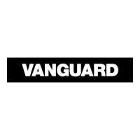 vanguard solutions ltda logo image