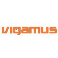 vigamus group logo image