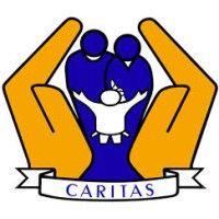 caritas health shield, inc. logo image