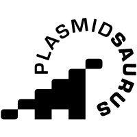 plasmidsaurus