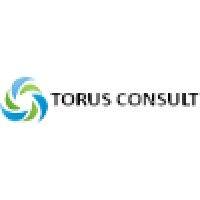 torus consult logo image