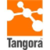 tangora software a/s logo image