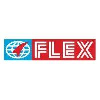 flex américas s.a. de c.v. logo image