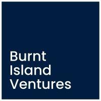 burnt island ventures logo image