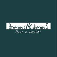 brownies&downies logo image