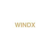 windx ltd logo image